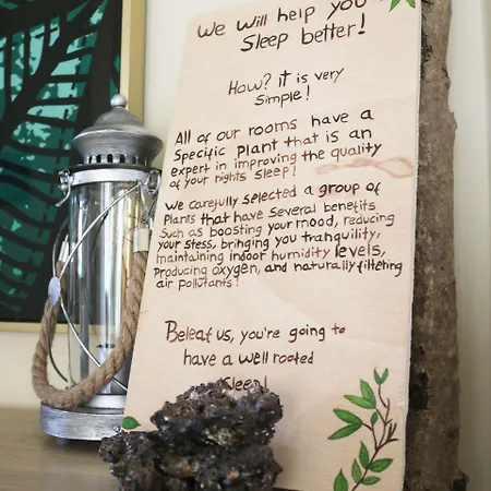 Bed & Breakfast Element Costa de Caparica