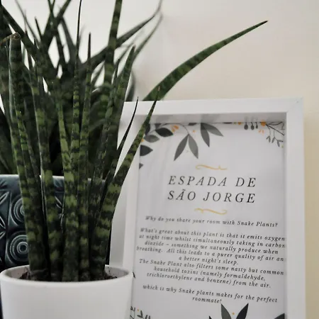 Bed & Breakfast Element 2*