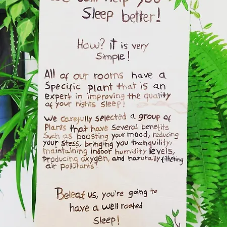 Bed & Breakfast Element