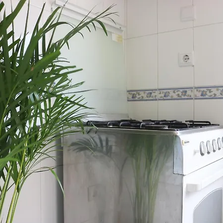 Bed & Breakfast Element 2*