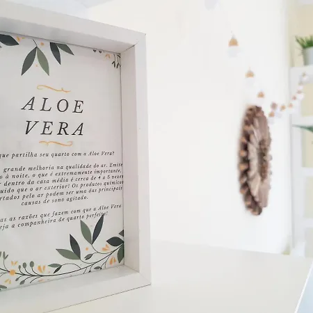 Element Costa da Caparica