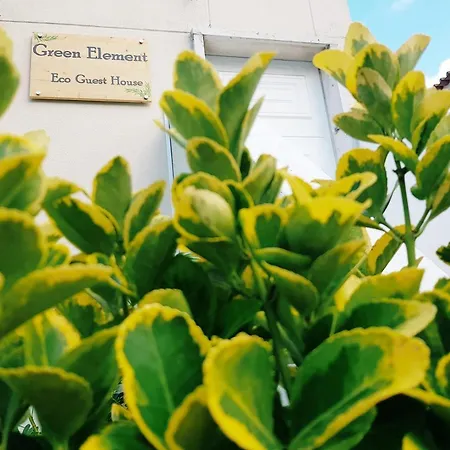 Bed & Breakfast Element 2*