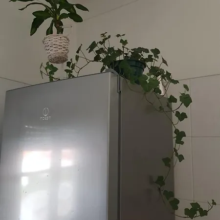 Element Bed & Breakfast 2*