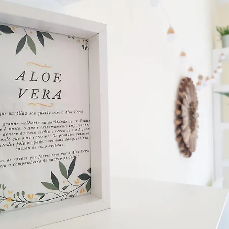 Bed & Breakfast Element Costa da Caparica