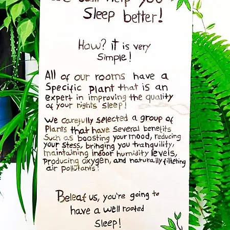 Element B&B