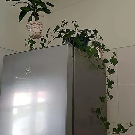לינה וארוחת בוקר Element 2*