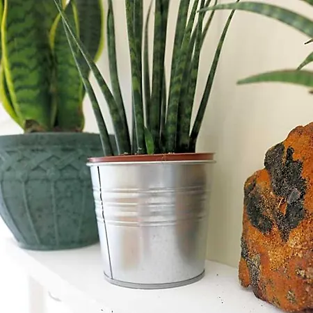 B&B Element
