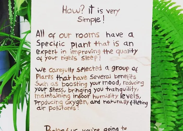 住宿加早餐酒店 Element