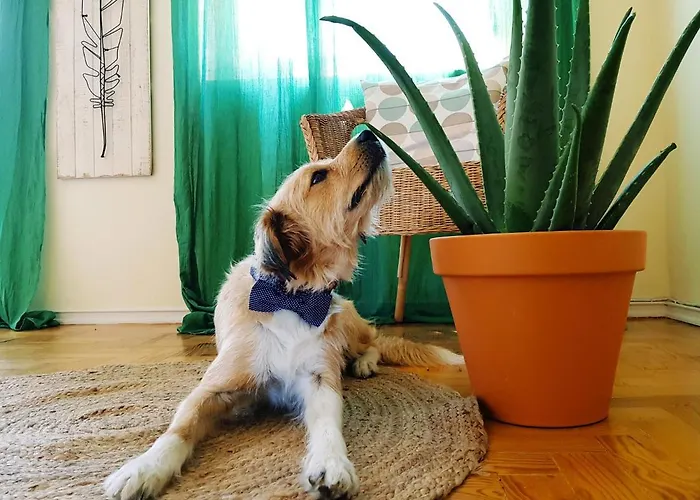 Element 2* Costa da Caparica