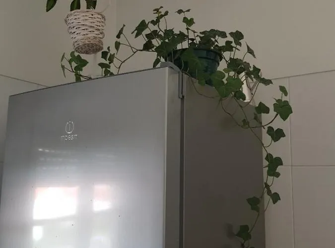 Element 住宿加早餐酒店 2*